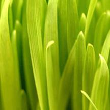 ddos在线攻击测试网站