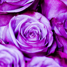 Web漏洞扫描工具